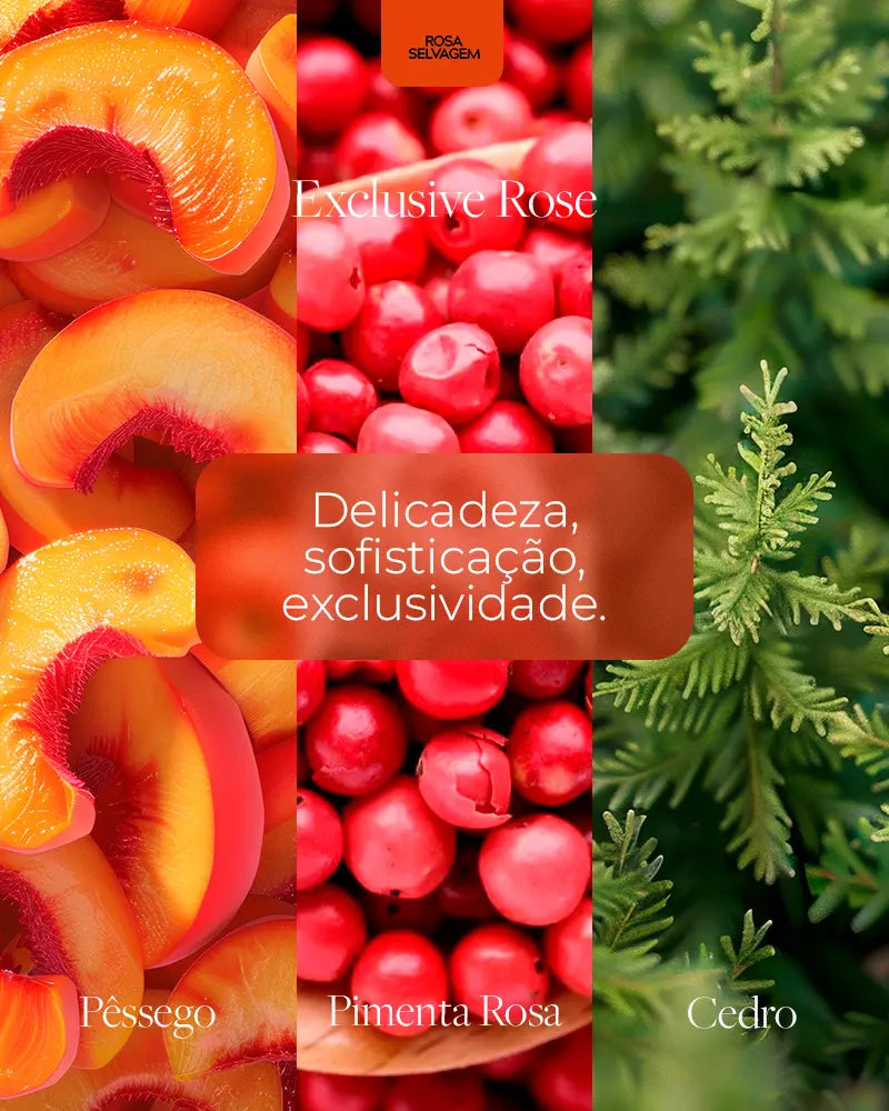 Notas olfativas do Body Splash Exclusive Rose 200ml da Rosa Selvagem